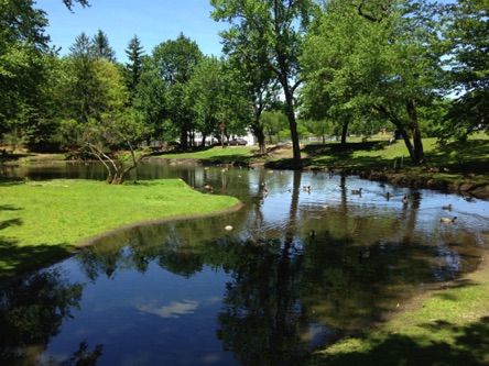 Walk across the street and enjoy Hamilton Park